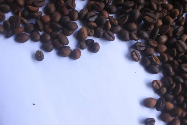 This photo is a photo of Robusta coffee bean typical of Pekalongan, Central Java, Indonesia.