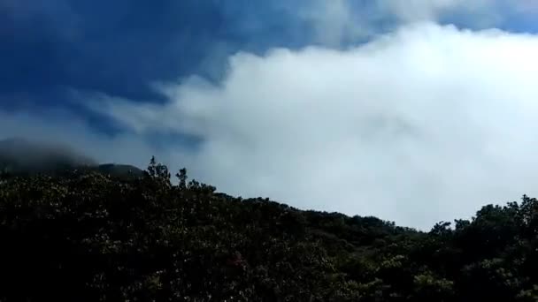 Film Silnym Wiatrem Nadciąga Burza Górze Arjuna Welirang Prowincja Jawa — Wideo stockowe