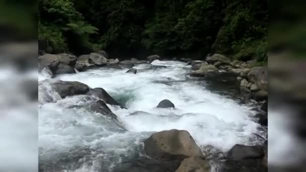 Vacker Klar Flod Flöde Video Tropisk Skog Centrala Java Provinsen — Stockvideo