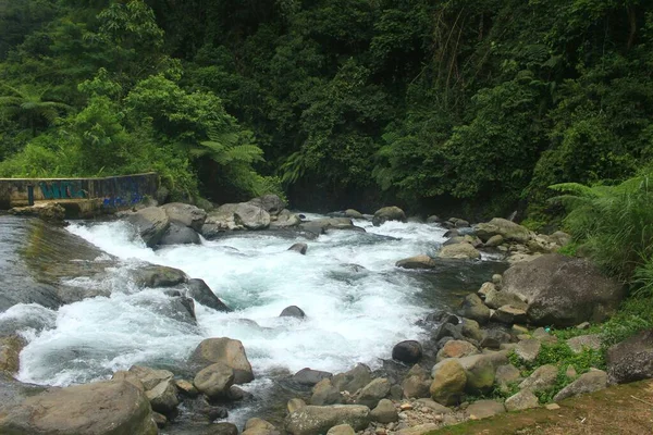 Belo Fluxo Rio Claro Floresta Tropical Província Java Central Indonésia — Fotografia de Stock