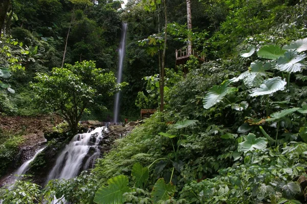 Schöner Klarer Fluss Tropischen Wald Zentraljava Indonesien — Stockfoto
