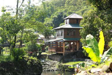 Tropikal ormanda güzel ahşap bir ev