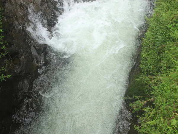 Heldere Rivier Stroom Het Tropische Bos Met Prachtig Uitzicht Voor — Stockfoto