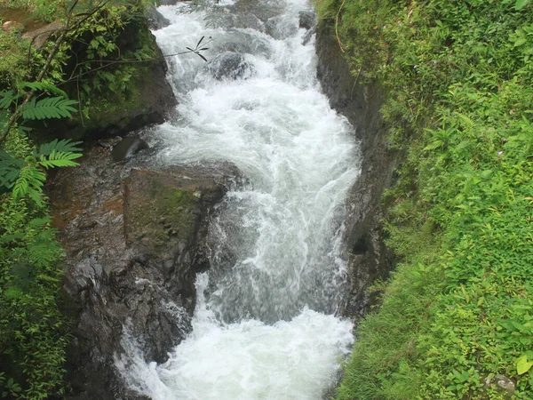 Klarer Fluss Durch Den Tropischen Wald Mit Schöner Aussicht Zum — Stockfoto