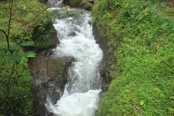 Flujo Claro Del Río Bosque Tropical Con Hermosa Vista Para —  Fotos de Stock