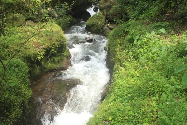 热带森林上清澈的河流 风景优美 适合旅游和休闲 — 图库照片