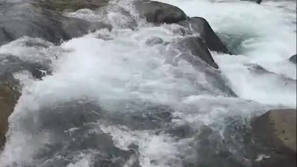 Güzel Doğa Temiz Nehir Tropikal Ormanlarda Akıyor Tatil Beyaz Raftingi — Stok video