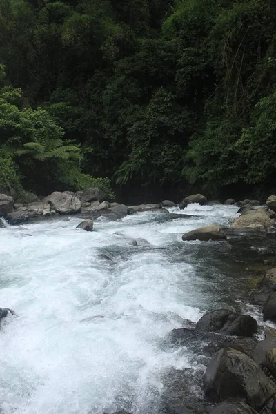 Eau Fleuve Coule Dans Forêt Tropicale Indonésie Cette Rivière Est — Photo