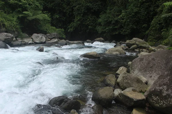 印度尼西亚热带森林中的河流水流 这条河又冷又漂亮 — 图库照片