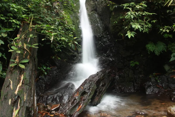 Schöner Klarer Fluss Wasserfall Fließt Tropischem Wald — Stockfoto