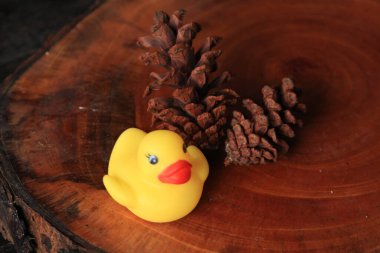 Dekorasyon için küçük şirin ördek oyunu