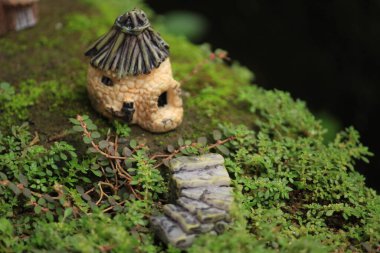 Fantezi dünyasındaki eşsiz minyatür cüce ev köyü