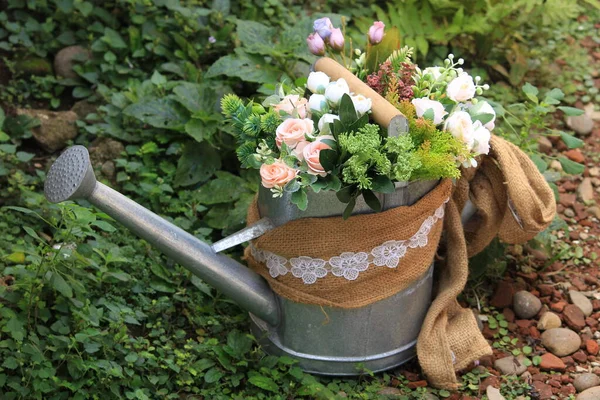 Hermosa Planta Flores Con Rocío Hermosa Planta Hoja Mañana — Foto de Stock