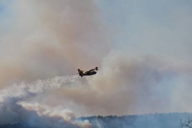 Vicopisano, Pisa, İtalya - 25 Şubat 2019: İtfaiyeci uçağının Kanadalıları ateşin üzerine püskürtülen duman bulutunun üzerinden uçuyor.