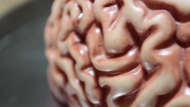 Close Human Brain Dolly Shot — Stock Video