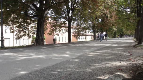 Lucca Toskana Italien September 2019 Spaziergänger Radfahrer Oder Jogger Auf — Stockvideo