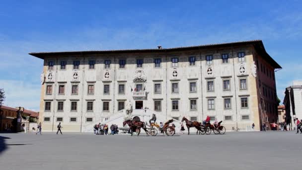 Pisa Tuscany Italy May 2019 Piazza Dei Cavalieri Palazzo Della — 图库视频影像