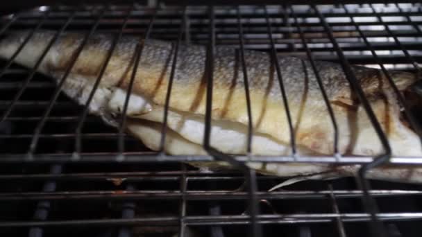 Close Fish Sea Bass Cleaned Seasoned Spices Grills — Stock Video