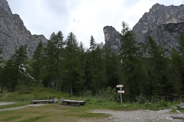 Piękna Górska Ścieżka Dolomitach Brenta Znakami Wskazującymi Różne Ścieżki Trentino — Zdjęcie stockowe