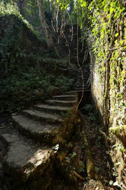İtalya, Lucca, Mulina di Stazzema 'daki Calcaferro madencilik arkeoloji parkındaki eski taş merdiven..