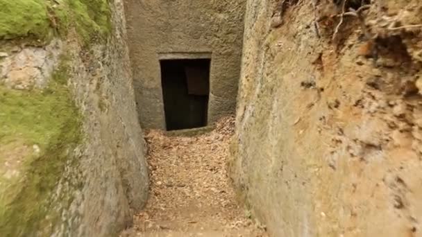 Caminando Por Pov Entrando Una Tumba Etrusca Cámara Tumbas Etruscas — Vídeo de stock