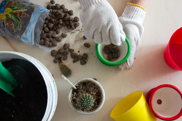 Gloved hands poured drainage in green pot Stock Image