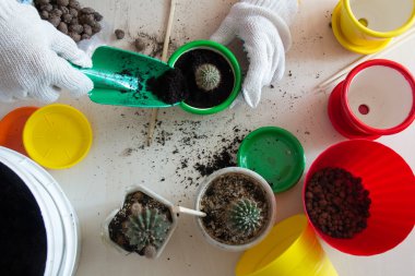 Üstten Görünüm kürek toprak tencereye dökün 