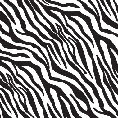 Zebra desen vektör çizim