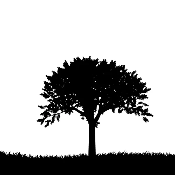 Illustrazione vettoriale silhouette albero isolato — Vettoriale Stock