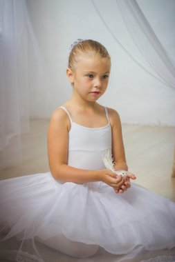 Beyaz kuş ile küçük şirin balerin. Prenses kavramı. Peri kuyruk