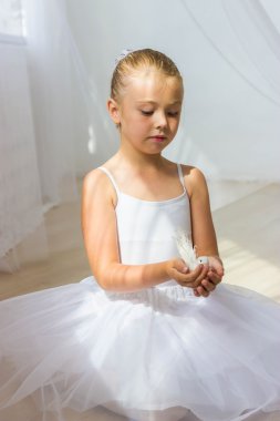 Beyaz kuş ile küçük şirin balerin. Prenses kavramı. Peri kuyruk