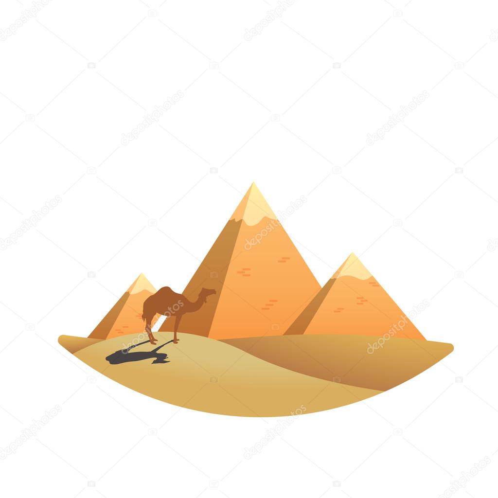 Camel on pyramid background vector illustration