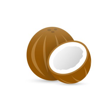 Kahverengi Hindistan cevizi vektör çizim