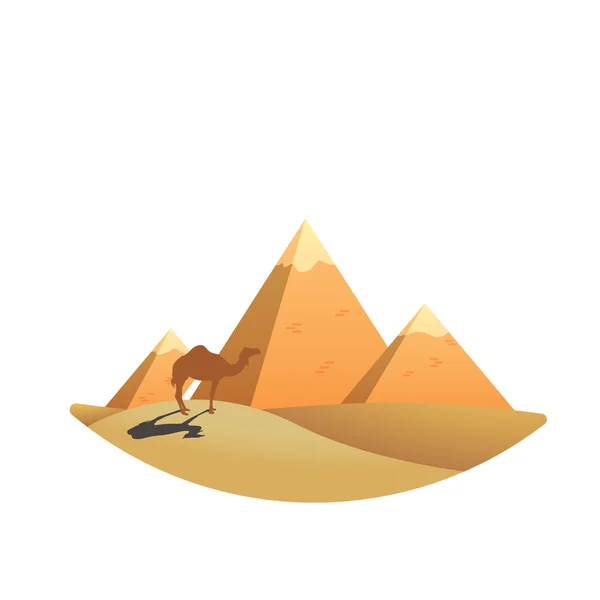 Camelo sobre pirâmide fundo ilustração vetorial — Vetor de Stock