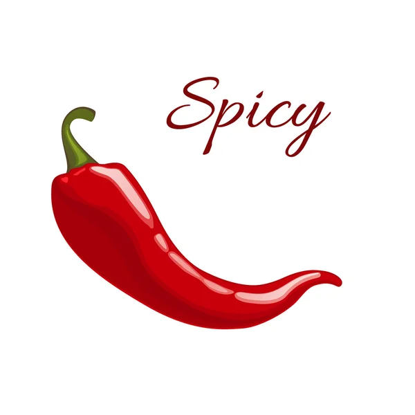 Spicy peper vectorillustratie — Stockvector