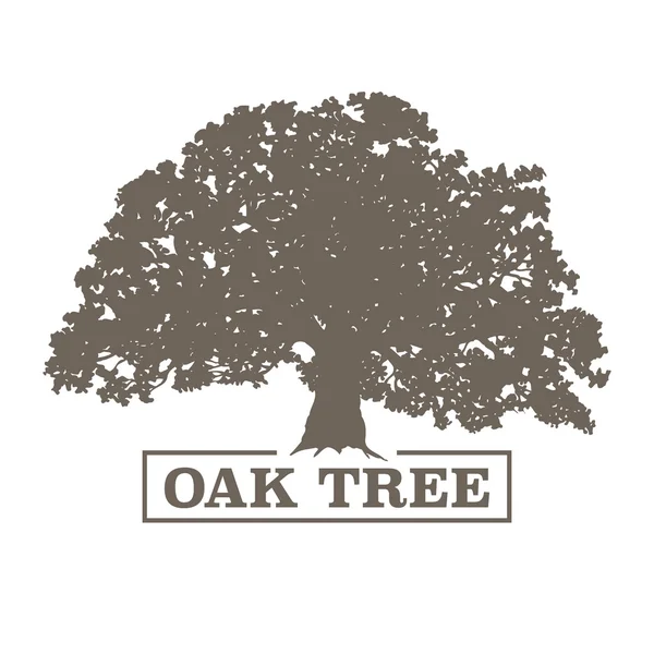 Oak tree vector illustration — Stock Vector