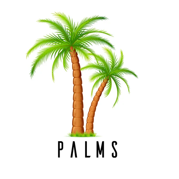 Palmen-Vektor-Illustration — Stockvektor