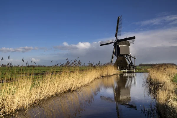 Windmolen de Broekmolen — Stockfoto