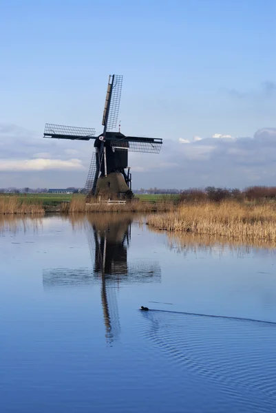 Windmolen 'Broekmolen' in de buurt van Streefkerk — Stockfoto