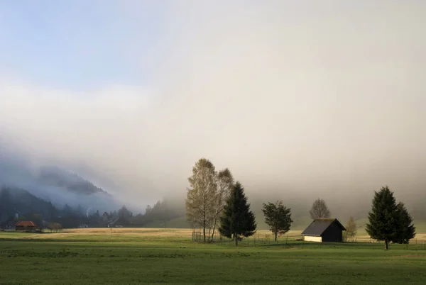 Paesaggio nebbioso vicino a Menzenschwand — Foto Stock
