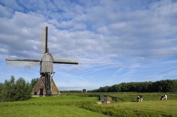 Noordveldse mlýn u Dussen — Stock fotografie