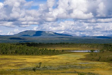 Flatruet dağı yaylası