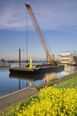 Nehirde yüzen bir vinç