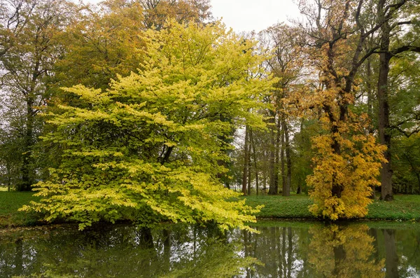Árvores coloridas de outono — Fotografia de Stock
