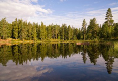 Kilsbergen bölgesindeki İsveç köyü Annaboda yakınlarındaki bir gölde yansıyan ağaçlar