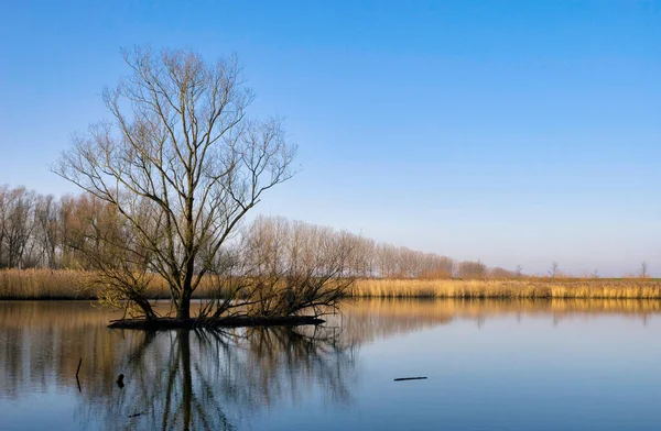 Ilha em um lago em uma reserva natural — Fotografia de Stock