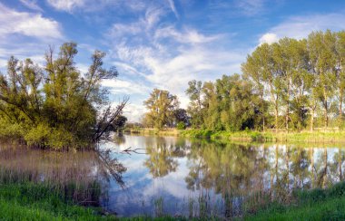 View at the river Beneden Merwede from the Helsluis lock