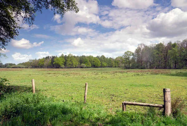 Meadow in the Pannenhoef nature reserve near Rijsbergen Stockbild