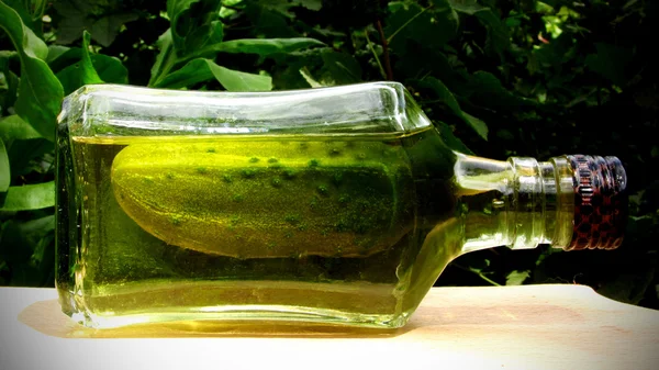 Bir şişe içinde salatalık