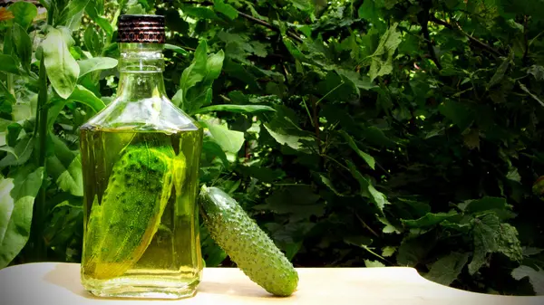 Bir şişe içinde salatalık